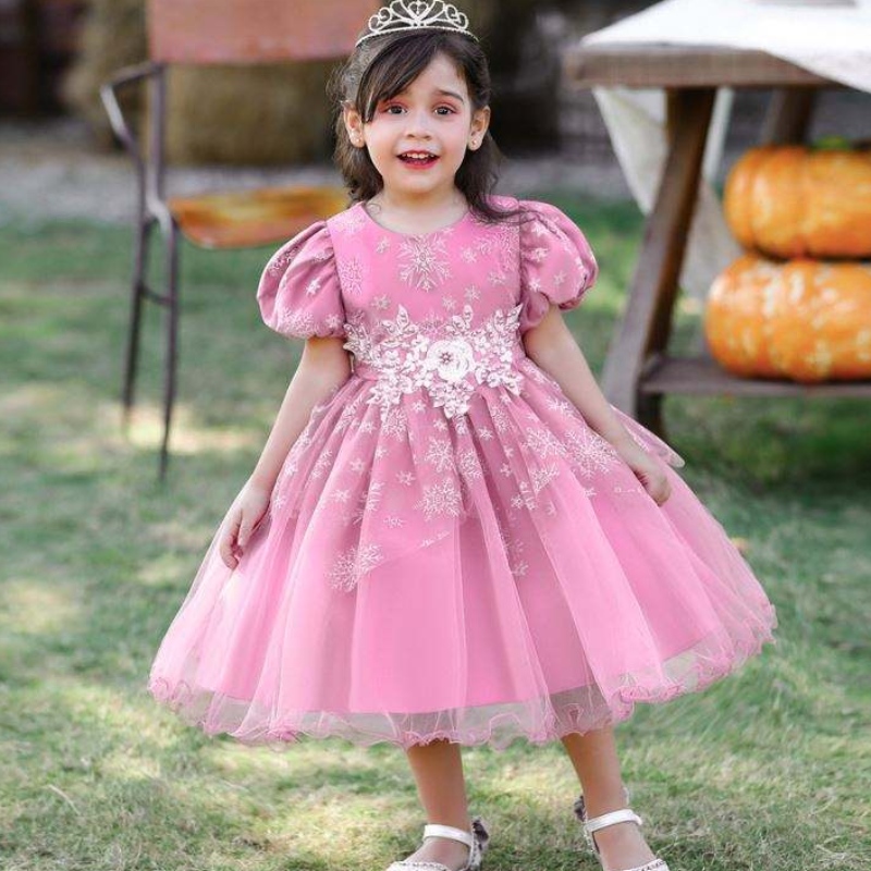 Baige Baby Girl Frocks Design Short Sleeve Performance Dance Dress Children \'s Party Wear Gown L2028XZ